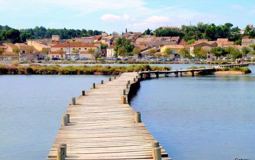 Location de vacances - Villa à Portel-des-Corbières - étang à 5mn du village ou vivent des flamands tout l'année