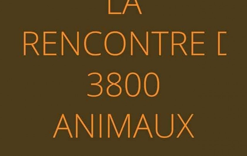 Location de vacances - Villa à Portel-des-Corbières - Réserve Africaine de Sigean