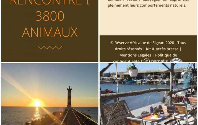 Location de vacances - Villa à Portel-des-Corbières - Réserve Africaine de Sigean, la plage , Leucate avec ses huitres