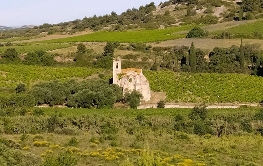 Location de vacances - Villa à Portel-des-Corbières - ruine d'une église du village parmi les vignes