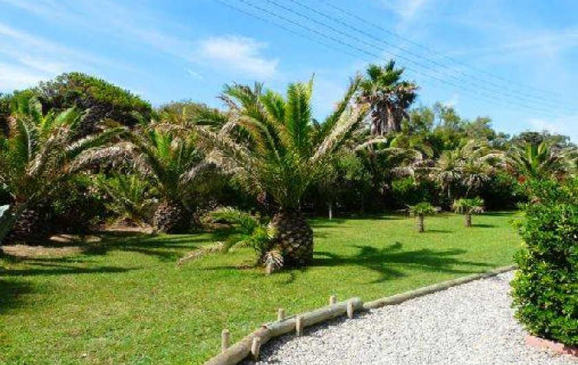 Location de vacances - Studio à Hyères