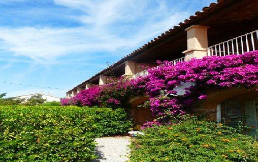 Location de vacances - Studio à Hyères