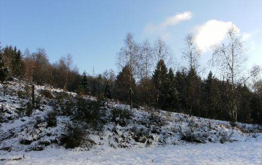 Location de vacances - Chalet à Ramonchamp