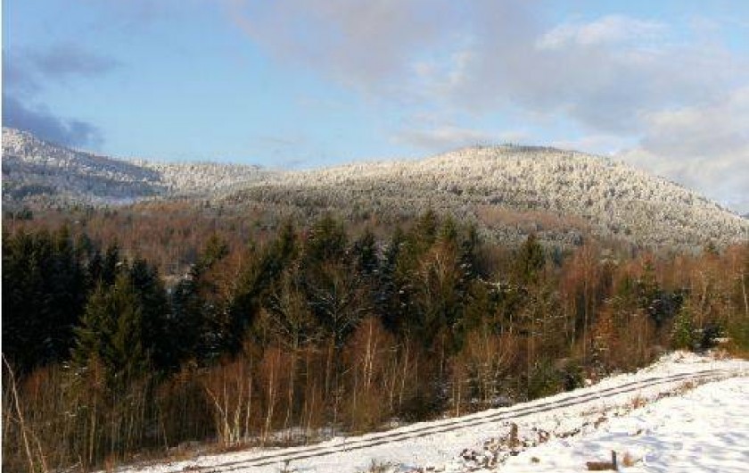 Location de vacances - Chalet à Ramonchamp