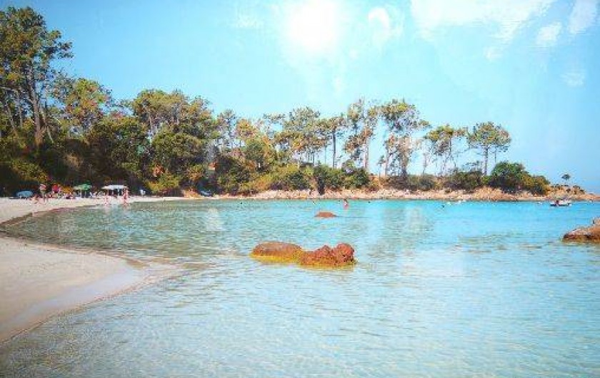 Location de vacances - Villa à Coti-Chiavari