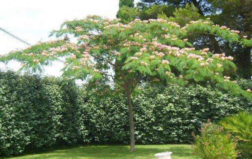 Location de vacances - Villa à Saint-Raphaël