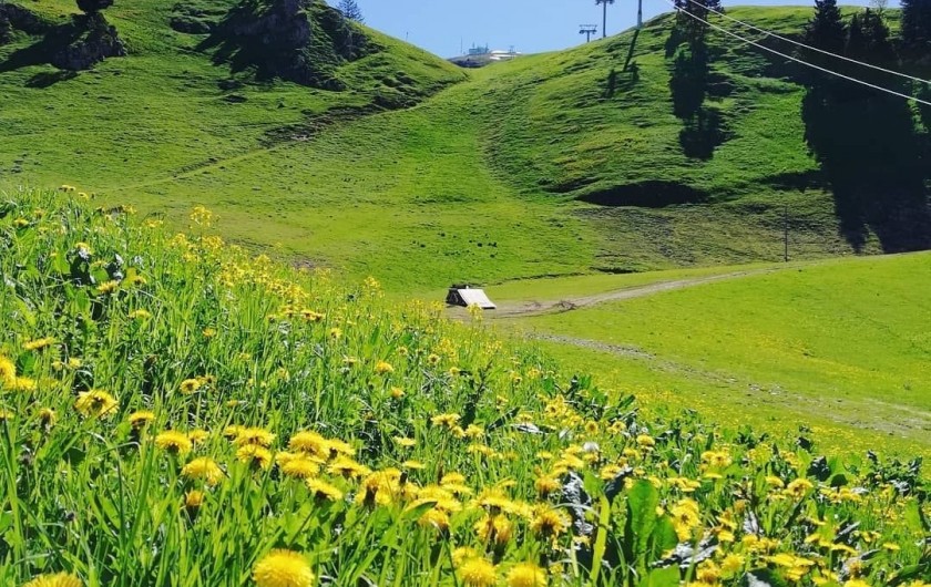 Location de vacances - Appartement à Chamrousse - VALLÉE