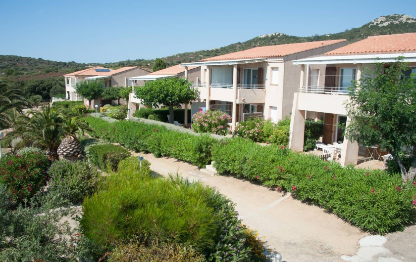 Location de vacances - Appartement à Lumio - Vue exterieure