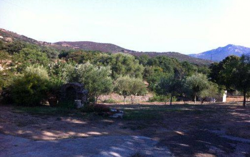 Location de vacances - Villa à Calenzana