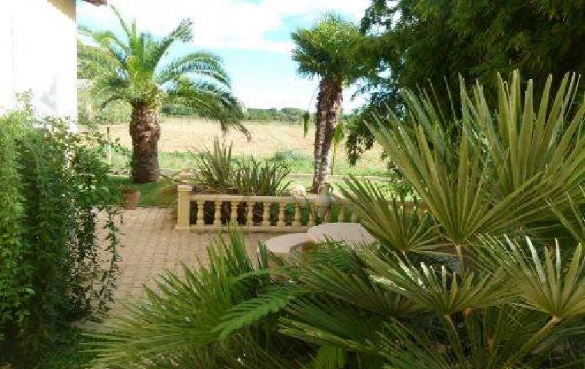 Location de vacances - Maison - Villa à Le Cailar