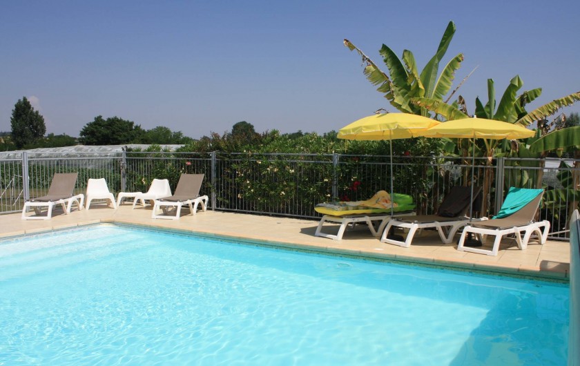 Location de vacances - Gîte à Lafrançaise - Votre piscine sécurisée. 10/5 avec escalier.