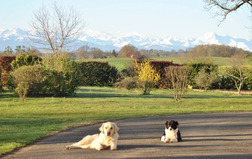 Location de vacances - Gîte à Duffort - Vue depuis la terrasse vers la pelouse