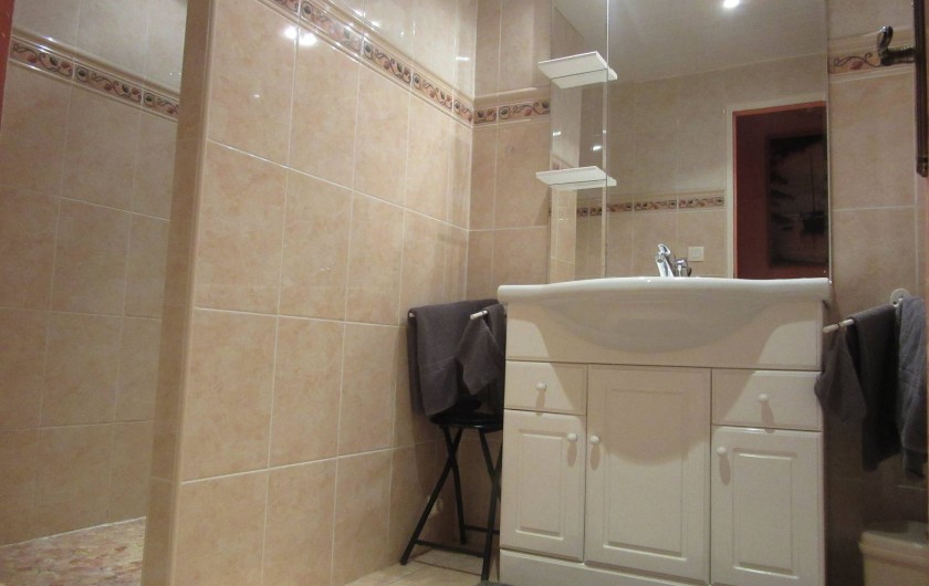 Location de vacances - Gîte à Duffort - Salle de bain