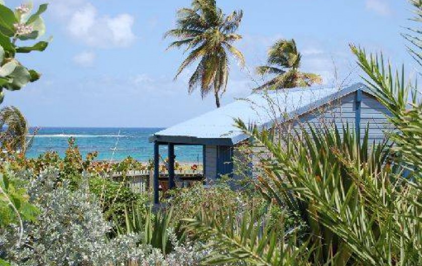 Location de vacances - Bungalow - Mobilhome à Le Moule