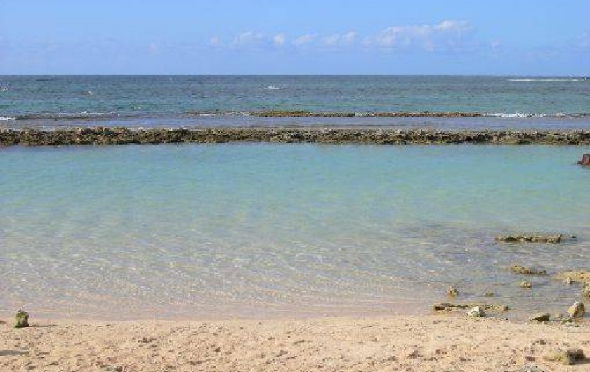 Location de vacances - Bungalow - Mobilhome à Le Moule