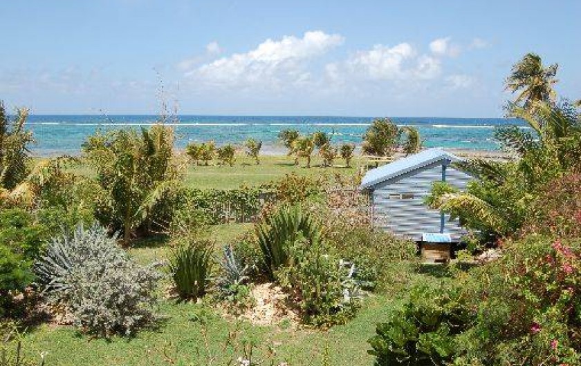 Location de vacances - Bungalow - Mobilhome à Le Moule