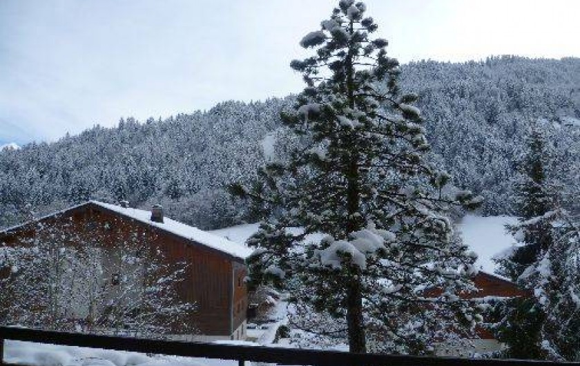 Location de vacances - Appartement à Le Grand-Bornand