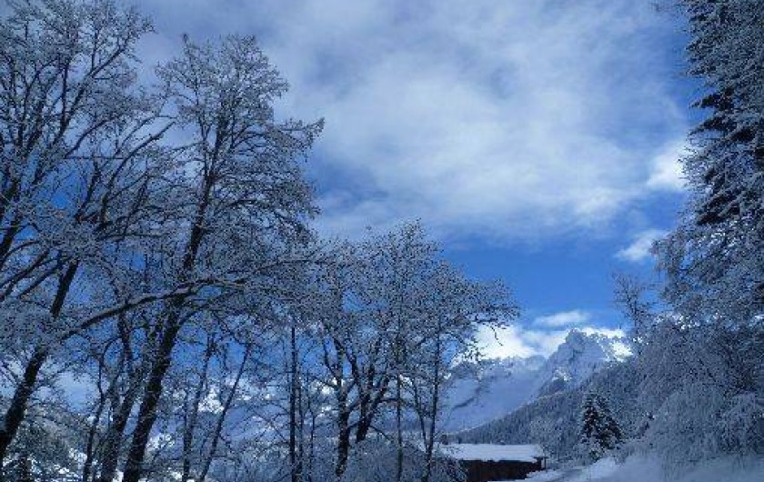 Location de vacances - Appartement à Le Grand-Bornand