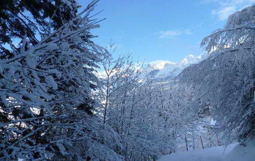 Location de vacances - Appartement à Le Grand-Bornand