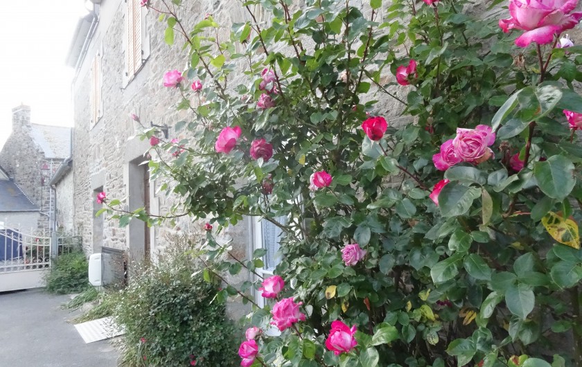 Location de vacances - Villa à Hirel