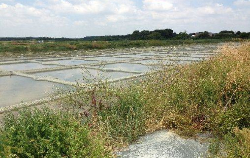 Location de vacances - Chambre d'hôtes à Saint-Molf