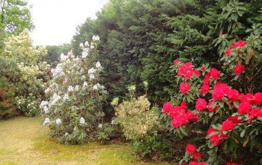 Location de vacances - Villa à Vielle-Saint-Girons