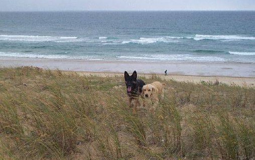 Location de vacances - Villa à Vielle-Saint-Girons