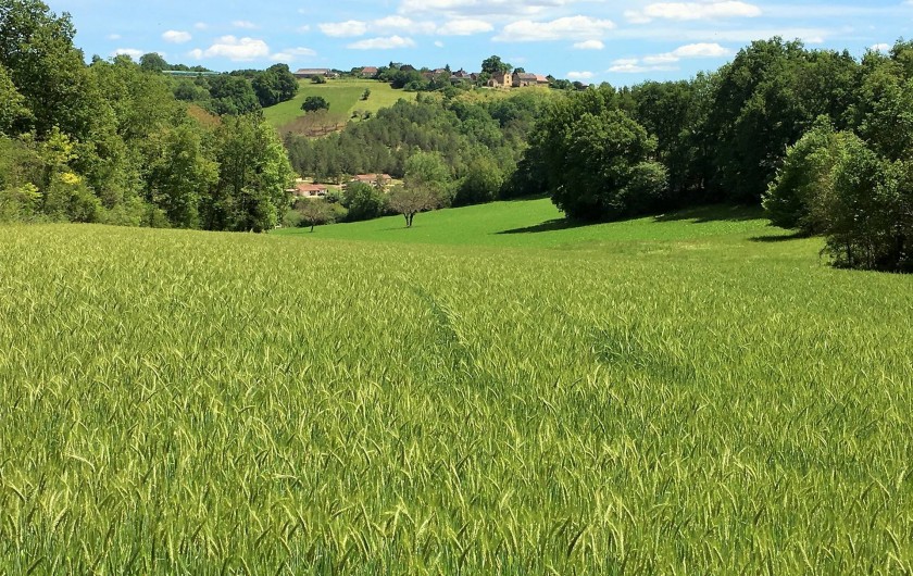 Location de vacances - Chambre d'hôtes à Auriac-du-Périgord - Le terrain