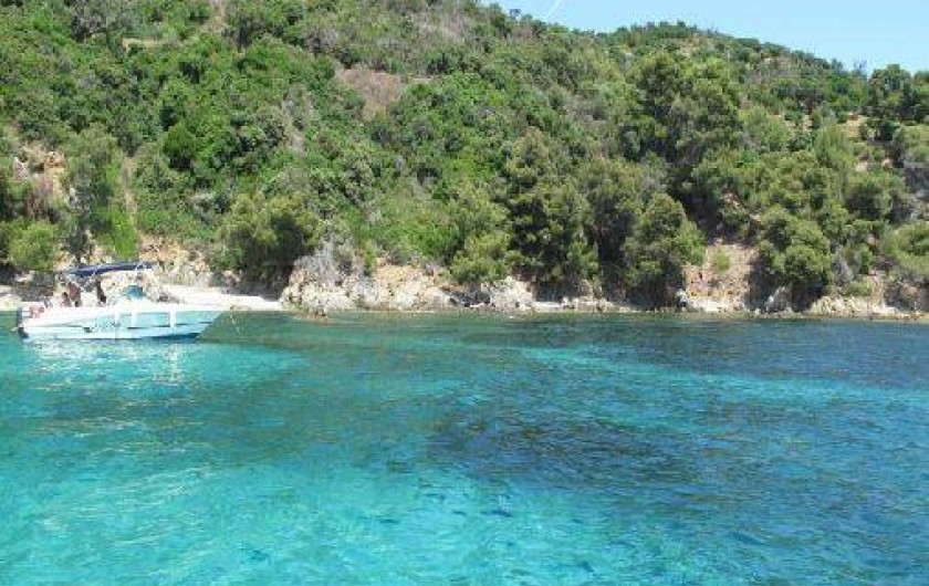 Location de vacances - Camping à Cogolin