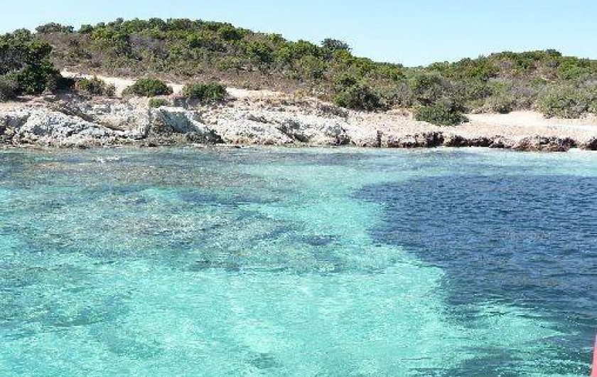 Location de vacances - Maison - Villa à Vescovato