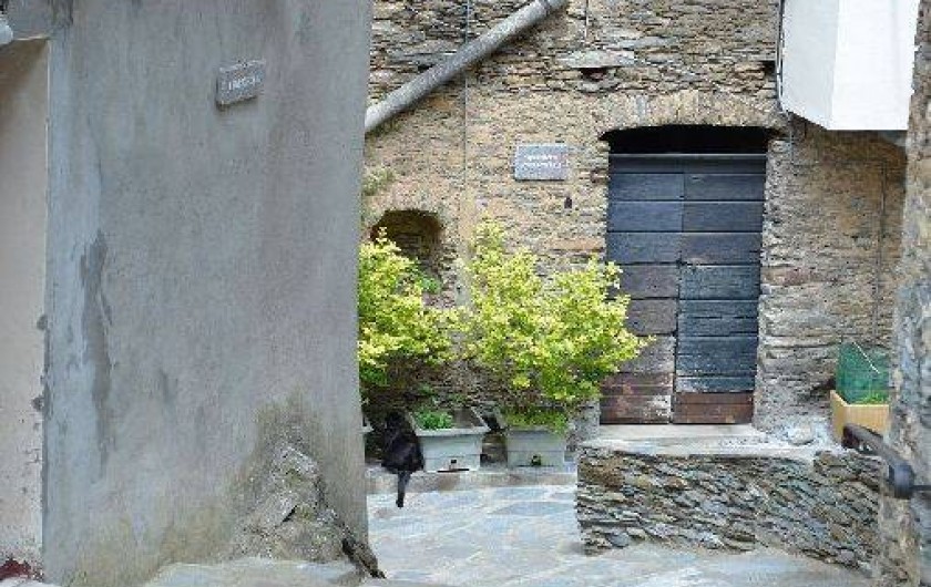 Location de vacances - Maison - Villa à Vescovato