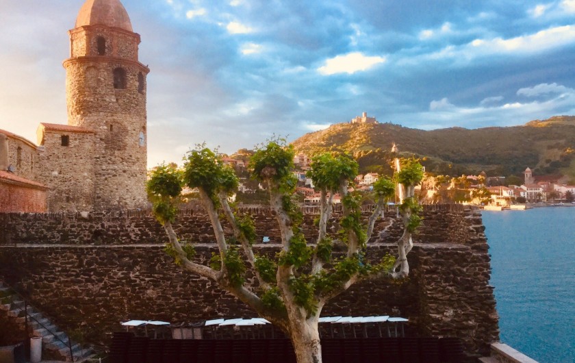 Location de vacances - Appartement à Collioure