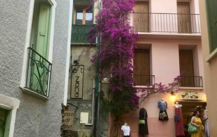 Location de vacances - Appartement à Collioure