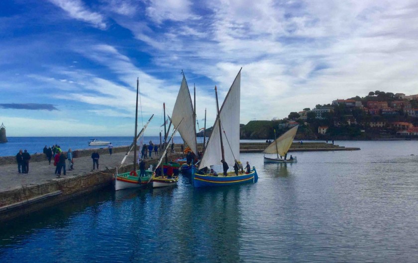 Location de vacances - Appartement à Collioure