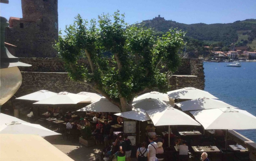 Location de vacances - Appartement à Collioure