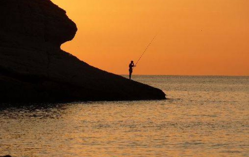 Location de vacances - Camping à Patrimonio