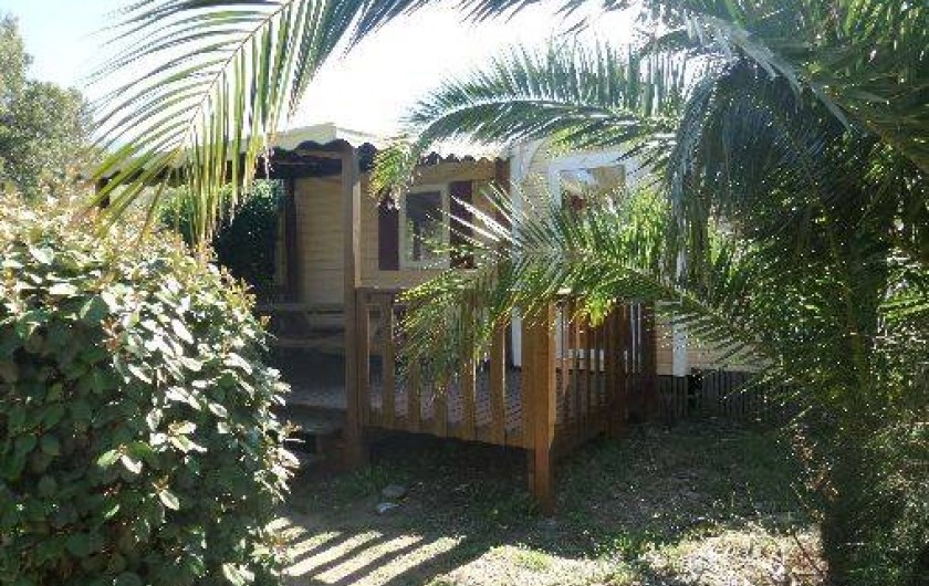 Location de vacances - Camping à Patrimonio