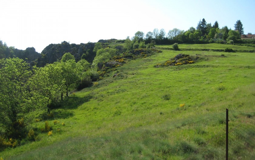 Location de vacances - Chalet à Le Malzieu-Ville - vue de la terrasse sur la montagne
