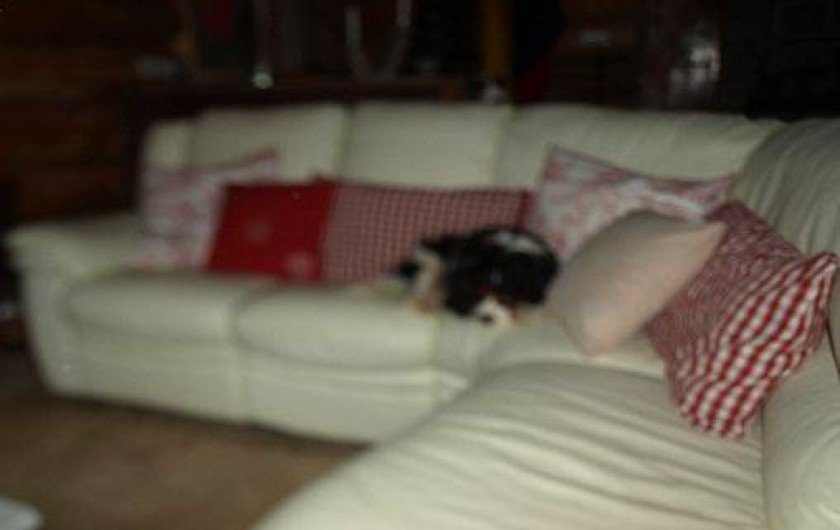 Location de vacances - Maison - Villa à La Gonterie-Boulouneix