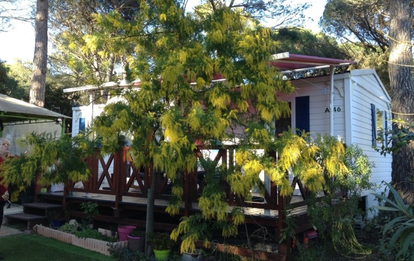 Location de vacances - Bungalow - Mobilhome à Puget-sur-Argens