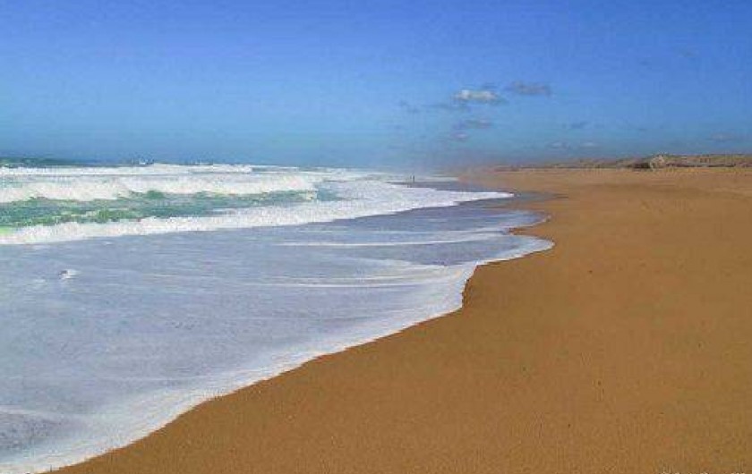 Location de vacances - Chambre d'hôtes à Saint-André-de-Seignanx