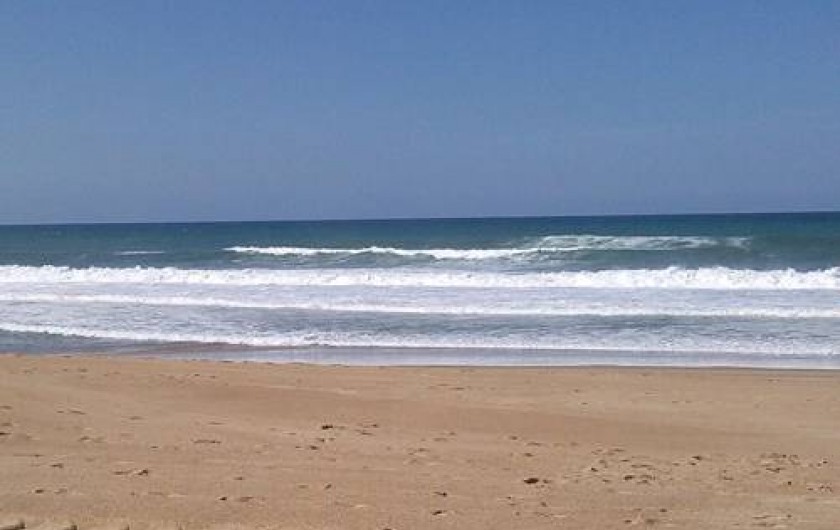 Location de vacances - Chambre d'hôtes à Saint-André-de-Seignanx