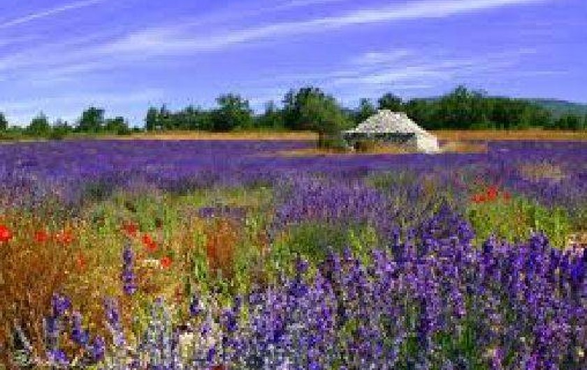 Location de vacances - Villa à Sault