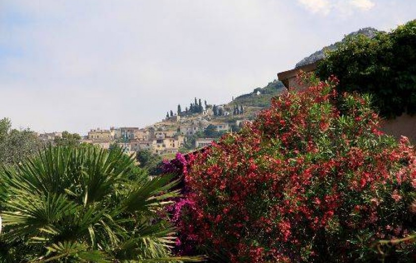 Location de vacances - Appartement à L'Île-Rousse