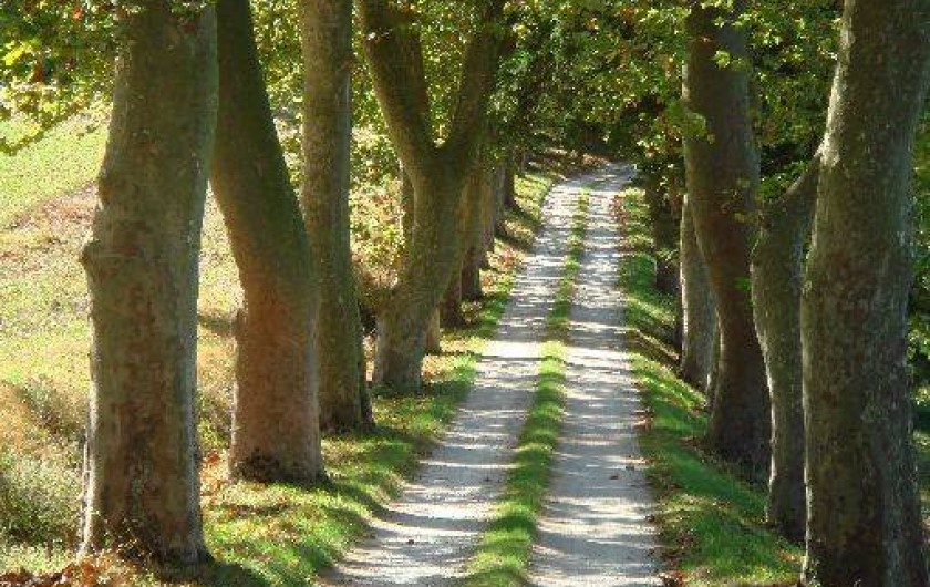 Location de vacances - Gîte à Puylaurens