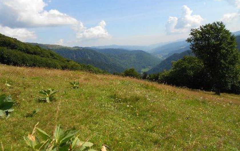 Location de vacances - Chalet à Saint-Maurice-sur-Moselle