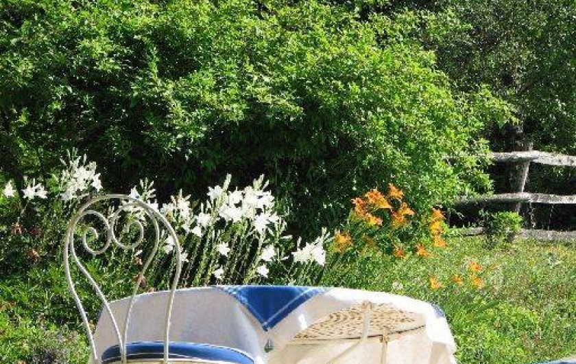 Location de vacances - Chambre d'hôtes à Velluire - Côté jardin