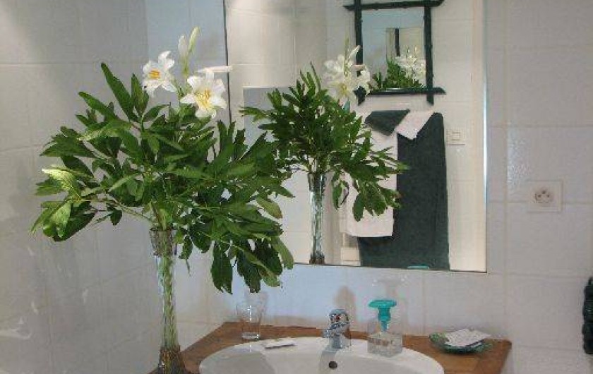 Location de vacances - Chambre d'hôtes à Velluire - Salle d'eau chambre Marais