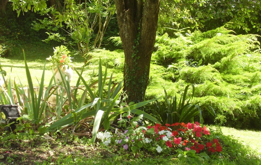Location de vacances - Chambre d'hôtes à Velluire - Jardin fleuri