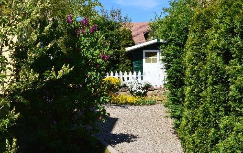 Location de vacances - Appartement à Thannenkirch